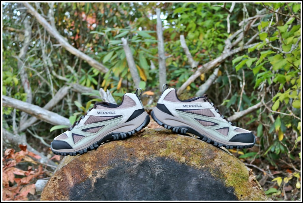 Merrell Shoes on a tree at Lake Powhatan in Asheville