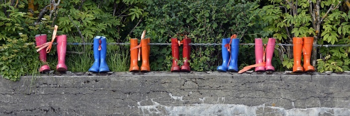 Various boots in bushes